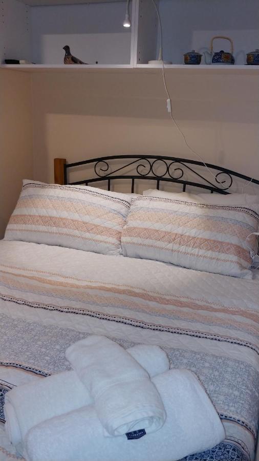 Randwick City Lodge 2 시드니 외부 사진