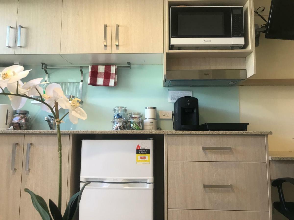 Randwick City Lodge 2 시드니 외부 사진